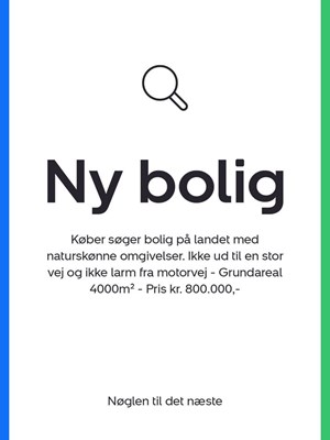opslagsbillede