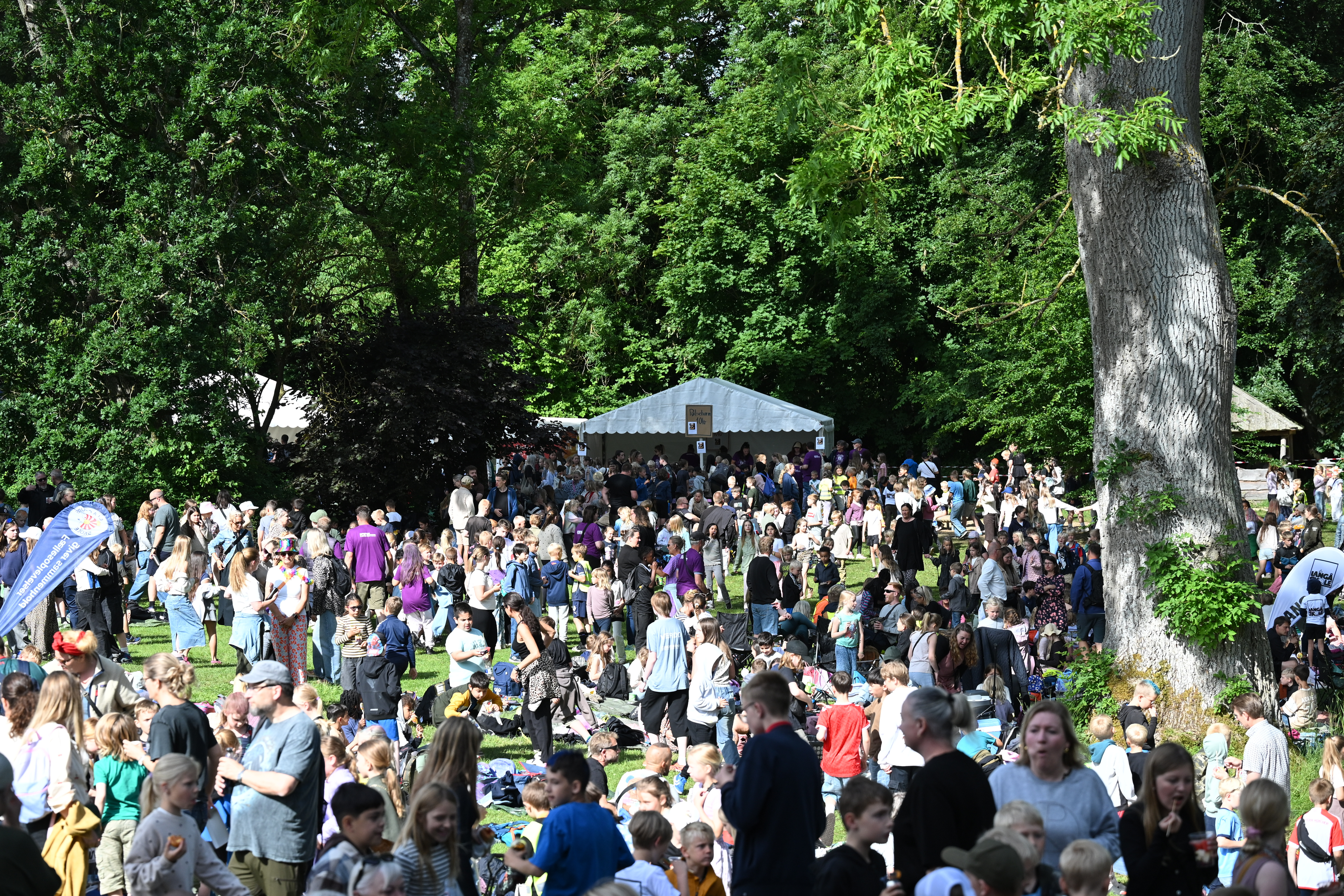 Oust Mølle Rock 2025: En musikfest med hjerte og højt humør