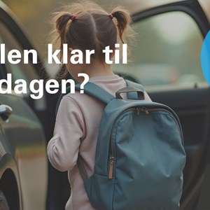 Opslagsbillede