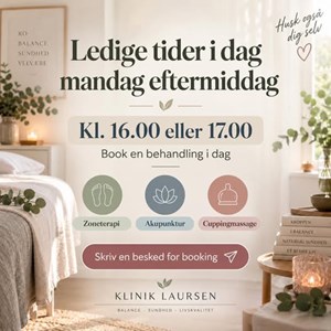 Opslagsbillede