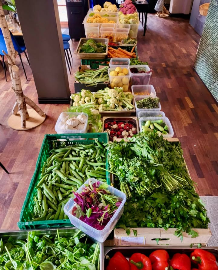 Restaurant Sæson åbner med ny menu og ledige borde i aften