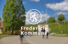Borgmester Steen Wrist har fået nyt job