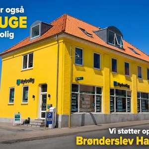 Opslagsbillede