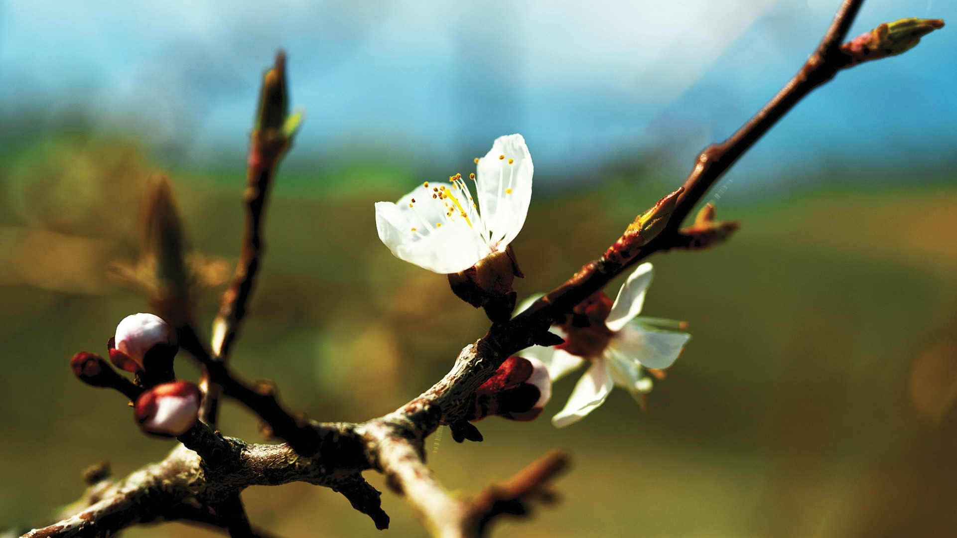 Forårskoncert i Lystrup Kirke: Oplev skønne korstemmer