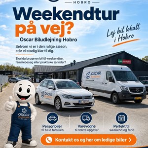 Opslagsbillede