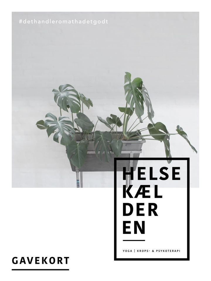 Opdatér dig her: Det nyeste fra Viborg