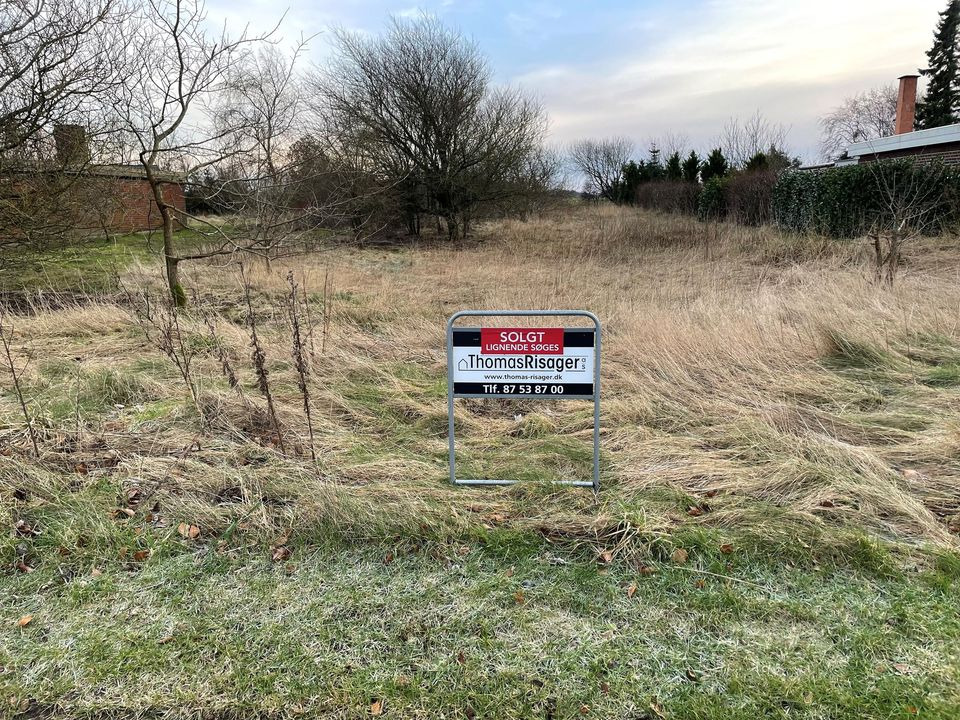 En finger på pulsen i Hjørring