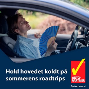Opslagsbillede