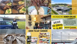 Nyt fra Bech's Køreskole, Skaldyrshuset, Skjoldmø Keramik og 6 andre