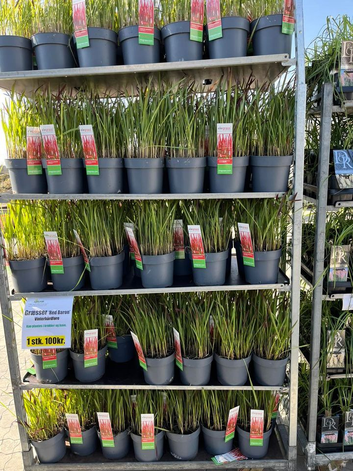 Det nyeste på Hedensteds opslagstavle