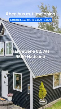 Opslagsbillede