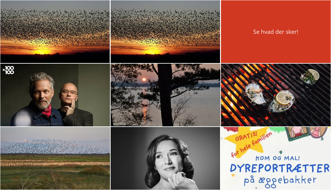 Oplev Ribe: Sort Sol, jazzkoncerter og kreativitet denne weekend