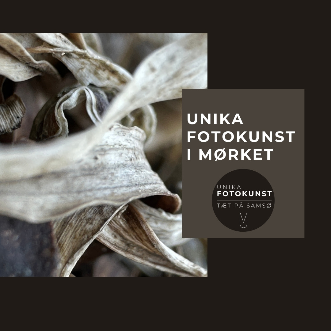 Oplev Samsøs natur gennem unik fotokunst