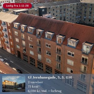 opslagsbillede