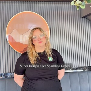 Opslagsbillede