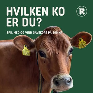 opslagsbillede