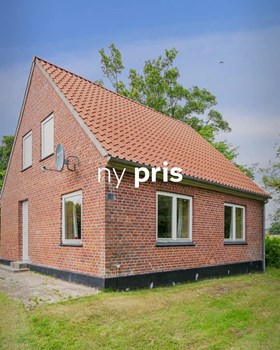 Opslagsbillede