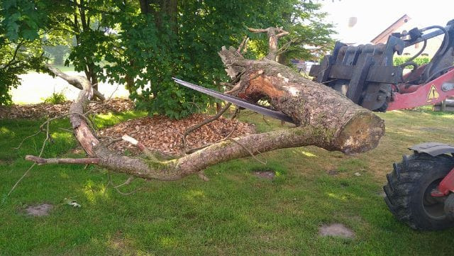 Hold dig ajour med dagens opdateringer fra Sæby