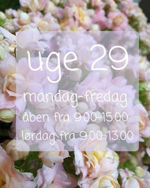 opslagsbillede