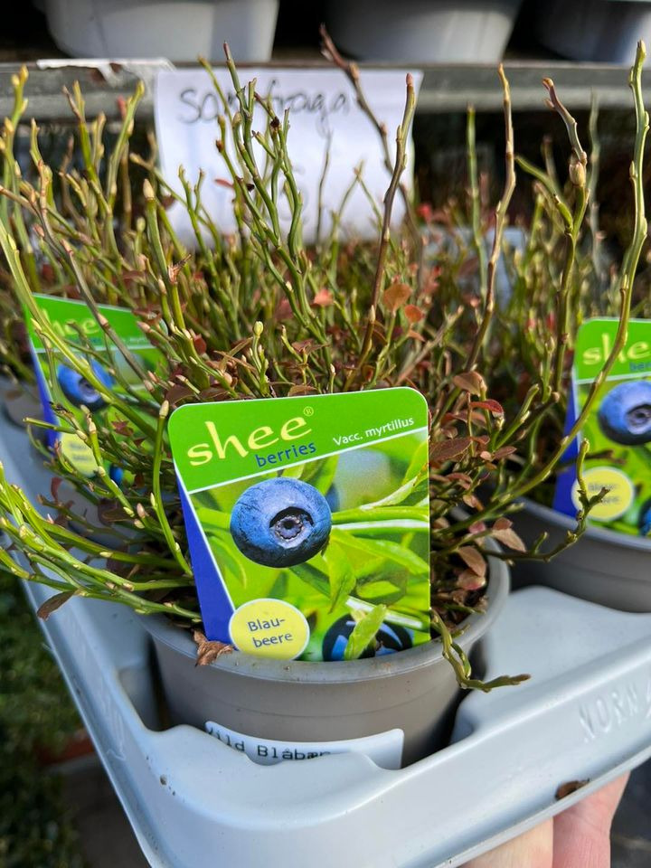 Se dagens updates fra Horsens her