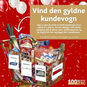 Opslagsbillede