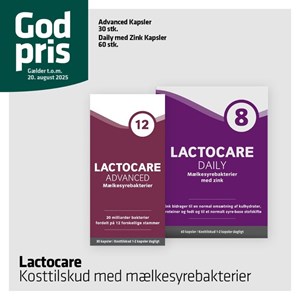 opslagsbillede