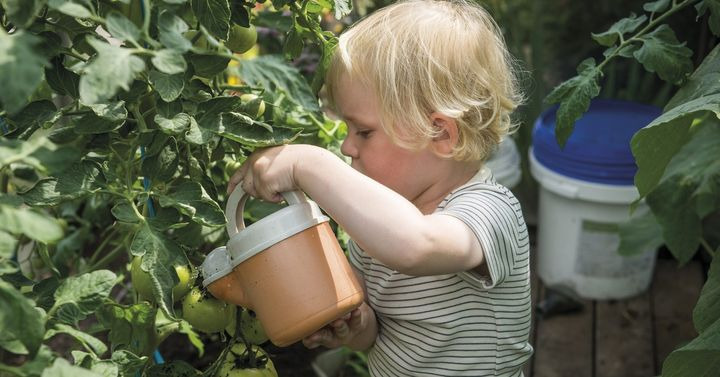 Det nyeste på Silkeborgs opslagstavle