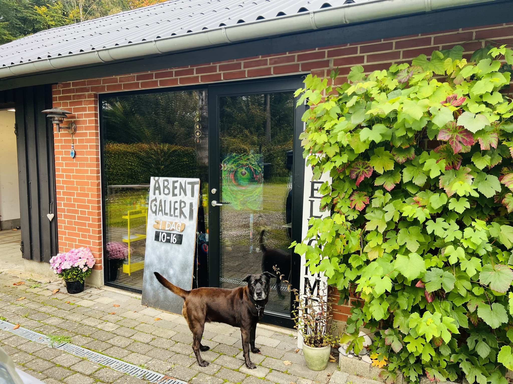Åbent galleri i Klosterhus: Oplev kunst og natur i skøn forening