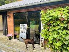 Åbent galleri i Klosterhus: Oplev kunst og natur i skøn forening