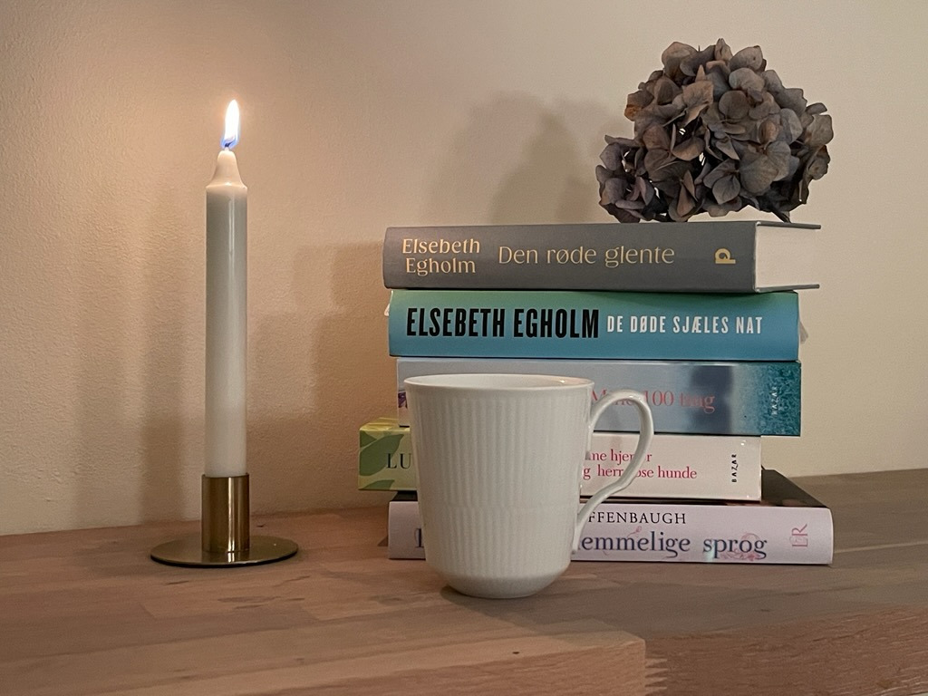 Fælles litteraturoplevelse i Højslev