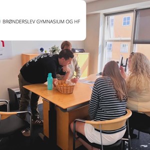 Opslagsbillede