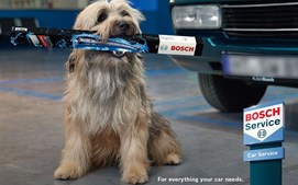 Winston har talt: Det er tid til nye viskerblade!