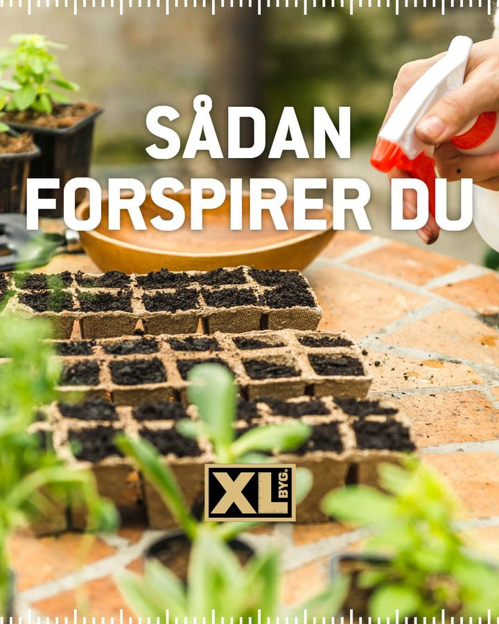 Opdatér dig her: Det nyeste fra Hals