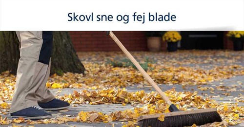 Opslagsbillede