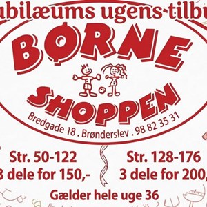 Opslagsbillede