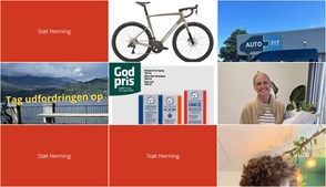 Nyt fra Dyrehospitalet Heden ApS, Operaen i Midten, Per P. Cykler og 3 andre