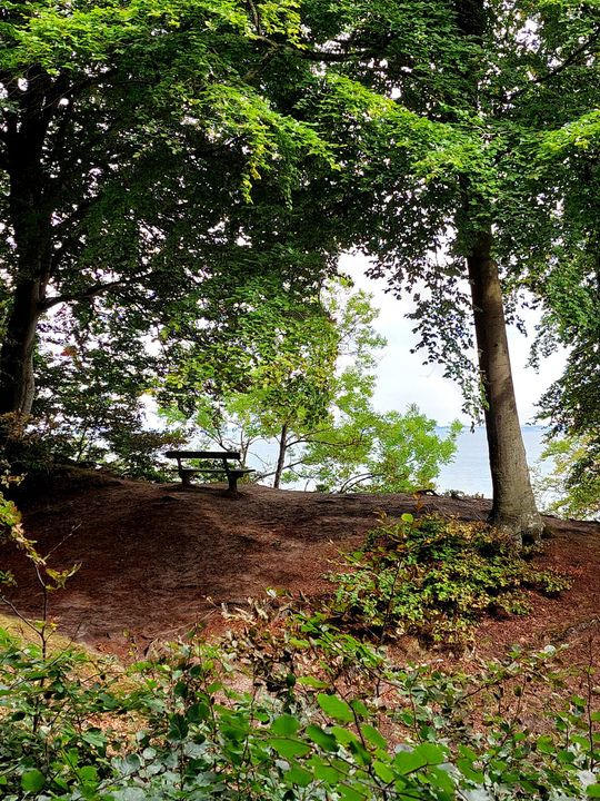 Det nyeste på Hammels opslagstavle