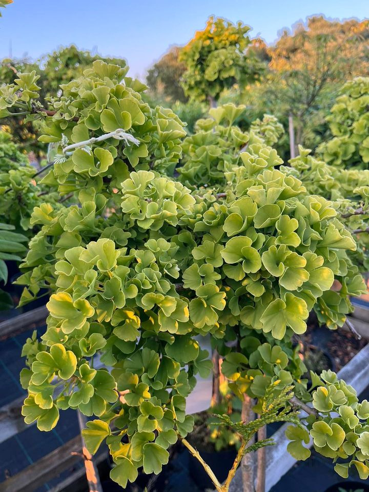 Opslagstavlen: Nyeste opdateringer fra Odder