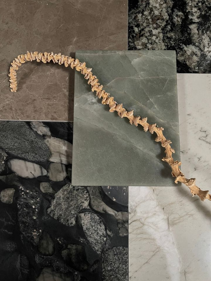 Bessmann Køkkener inviterer til at udforske smukke natursten i hjemmet