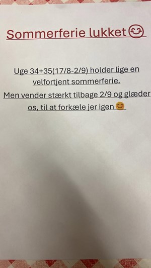 opslagsbillede