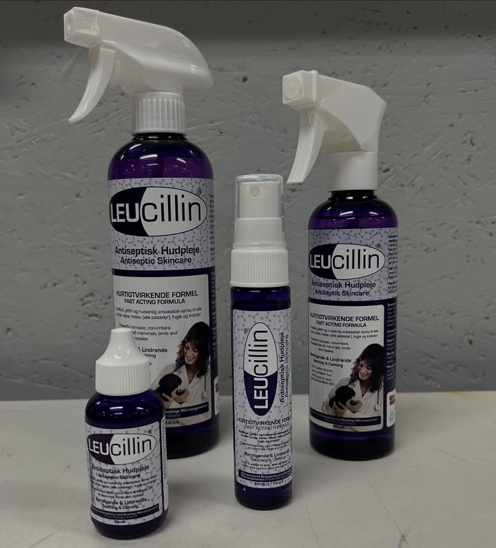 Camillas Dyrecenter introducerer Leucillin: Effektiv, antiseptisk hudpleje for alle dyr