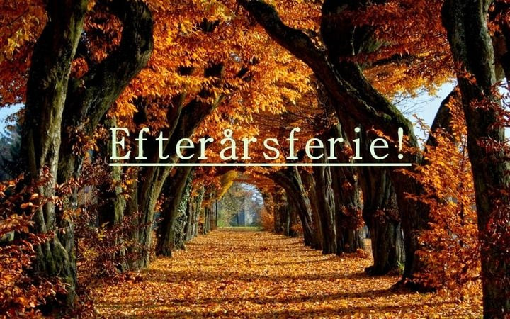 En finger på pulsen i Holstebro