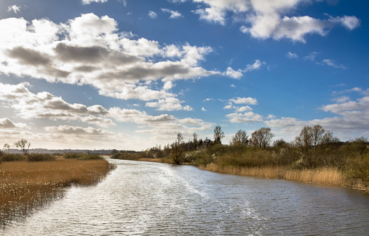 Forslag til skønne naturture i Randers