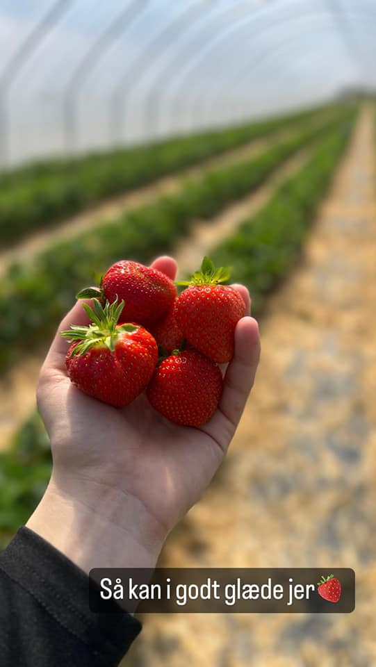 Det nyeste på Sæbys opslagstavle