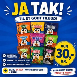 opslagsbillede
