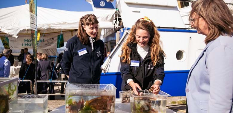 Havne-turnéen lægger til kaj i Norsminde