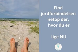 opslagsbillede