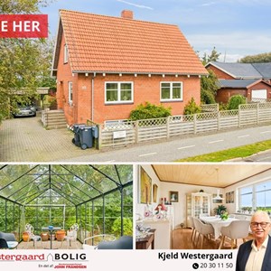 Opslagsbillede