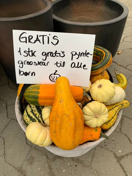 Opslagstavlen: Nyeste opdateringer fra Brønderslev