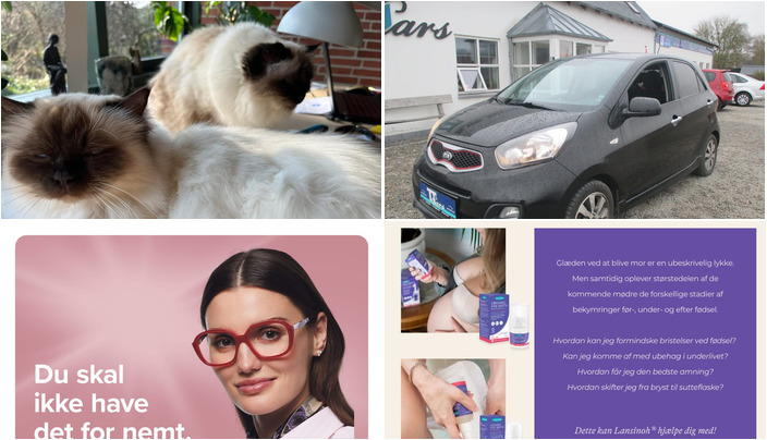 Nyt fra Yrsa Dunvad, NYTSYN Veri, Oscar Biludlejning og 1 anden